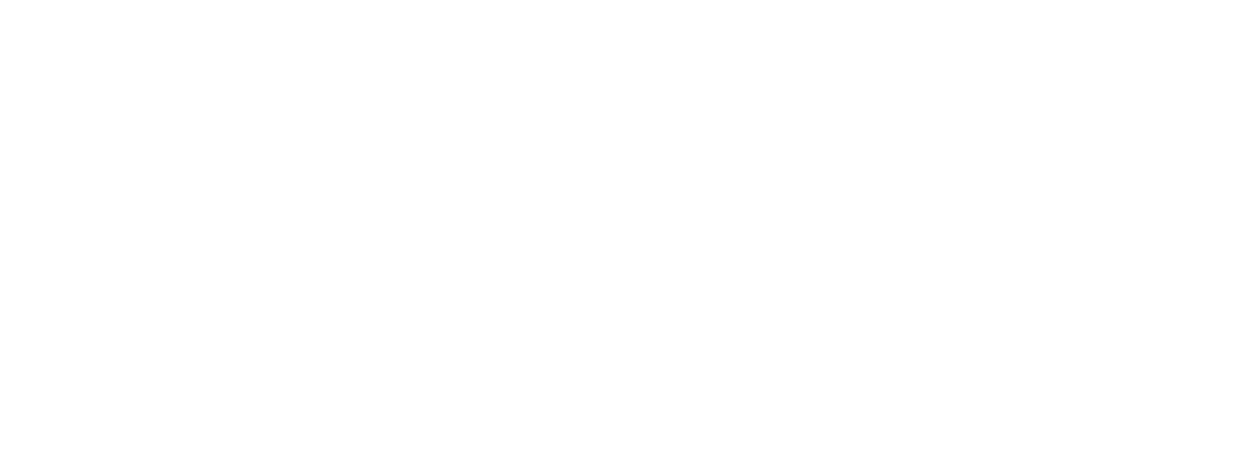 idash Software logo